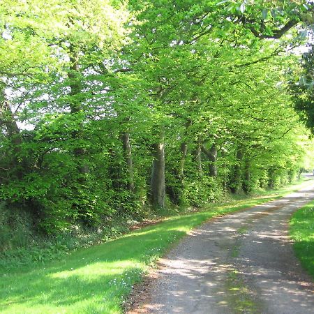 Ballinclea House Bed And Breakfast Brittas Bay Екстер'єр фото