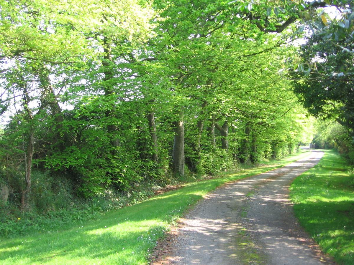 Ballinclea House Bed And Breakfast Brittas Bay Екстер'єр фото